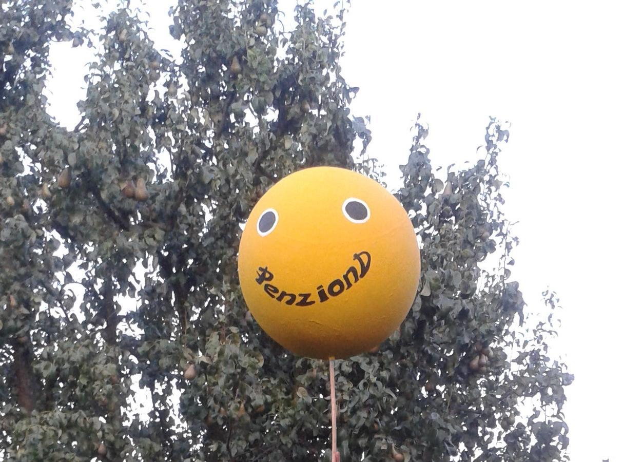 Penzion D Vikýřovice Kültér fotó